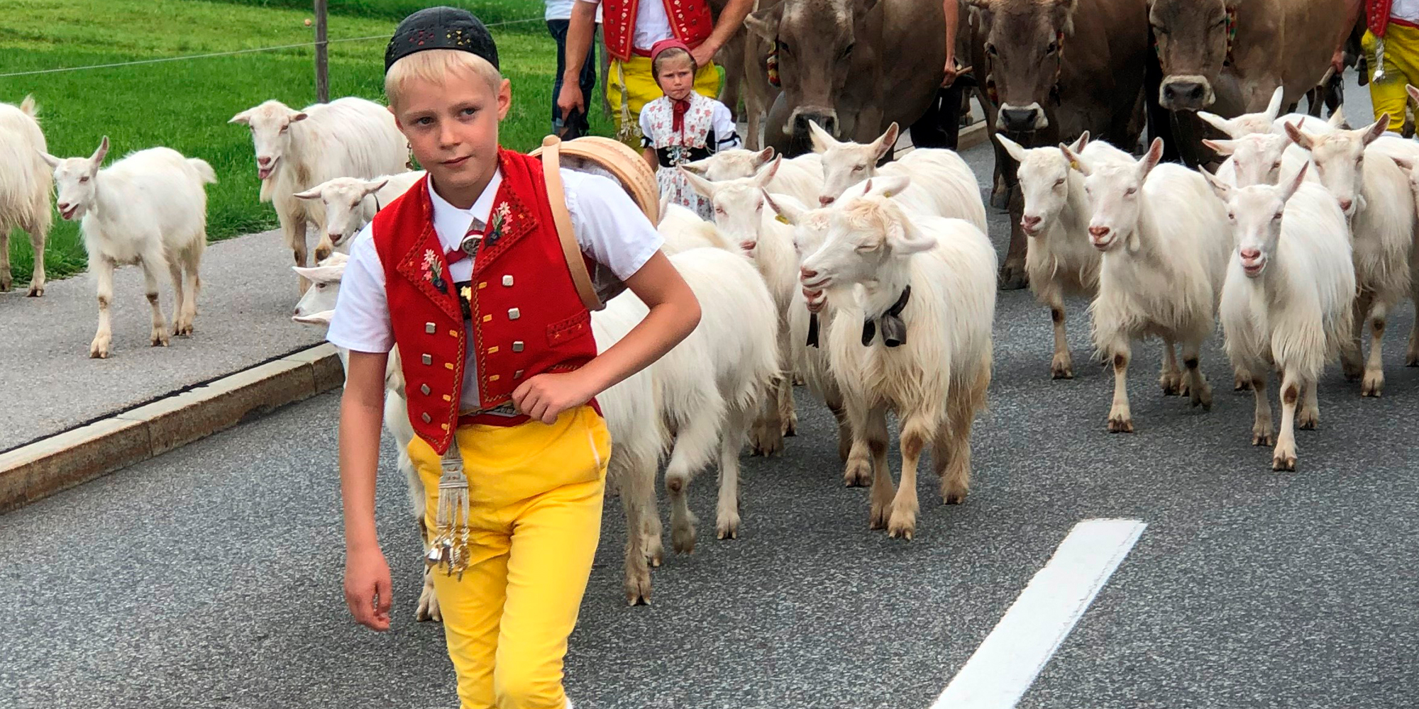 Alpabzug Appenzell